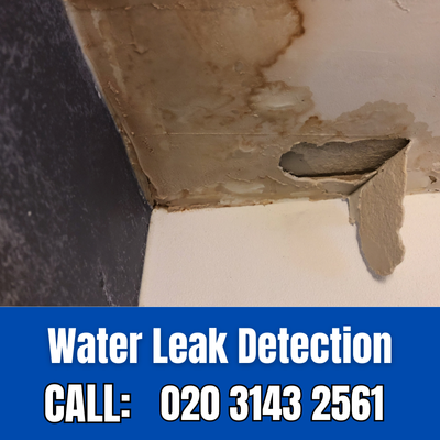 Expert Water Leak Detection Services in West Tilbury | West Tilbury Leak Detection